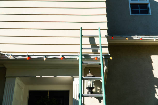 Best Custom Siding Design  in Molalla, OR