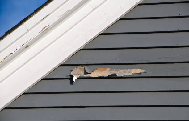 Best Siding for New Construction  in Molalla, OR