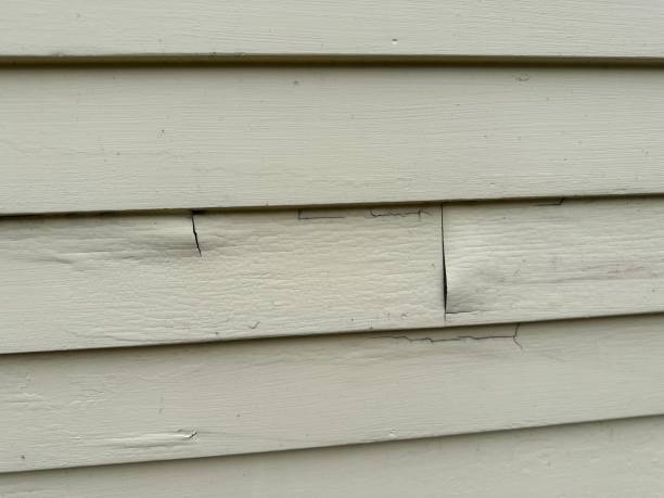 Best Stucco Siding  in Molalla, OR